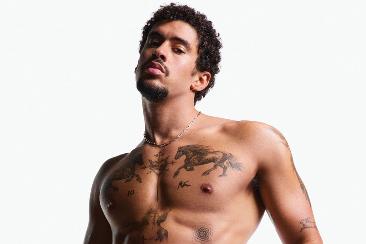 Bad Bunny Calvin Klein