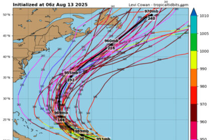 Erin Spaghetti Models