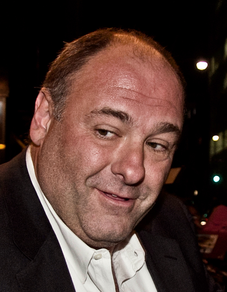 james gandolfini death